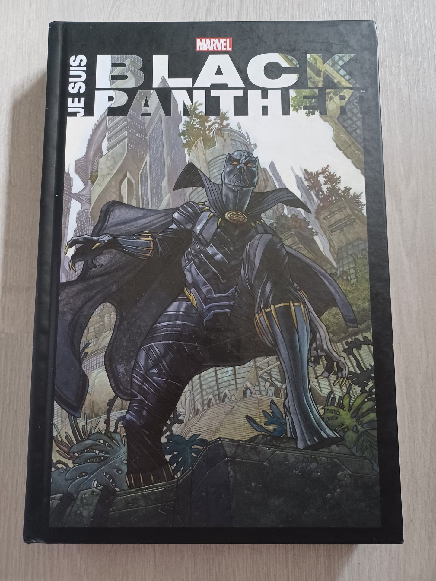 Je suis black panther