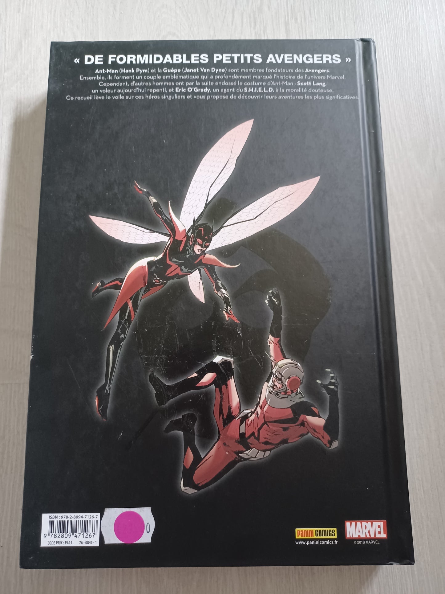 Nous sommes ant-man et la guêpe