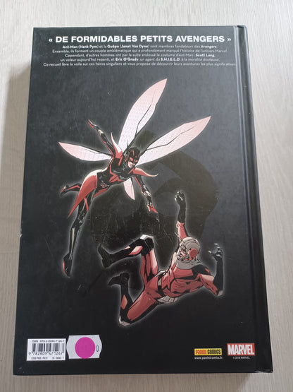 Nous sommes ant-man et la guêpe