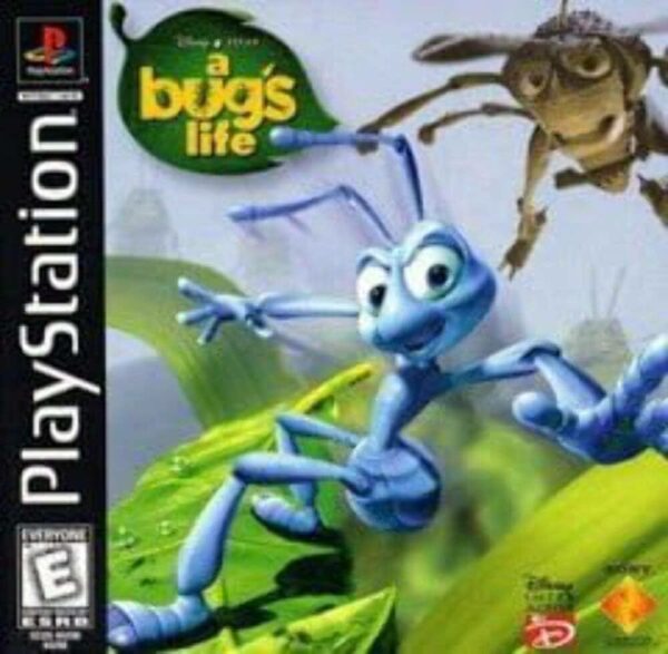 A bug’s life